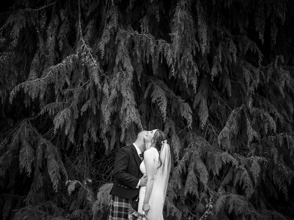 room kissing bride’s neck in front of dramatic evergreen tree in black and white
