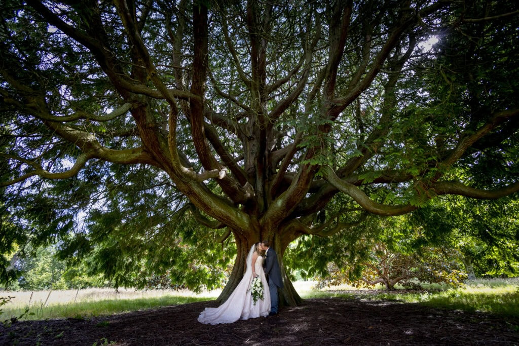 wedding at Mount Stuart
